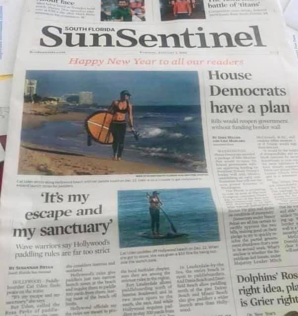 cat for city commission